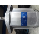 Hydraulic Pump cbfc gear pump 1